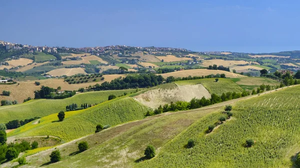 Летний пейзаж рядом с Monterubbiano (Фермо, Марши ) — стоковое фото