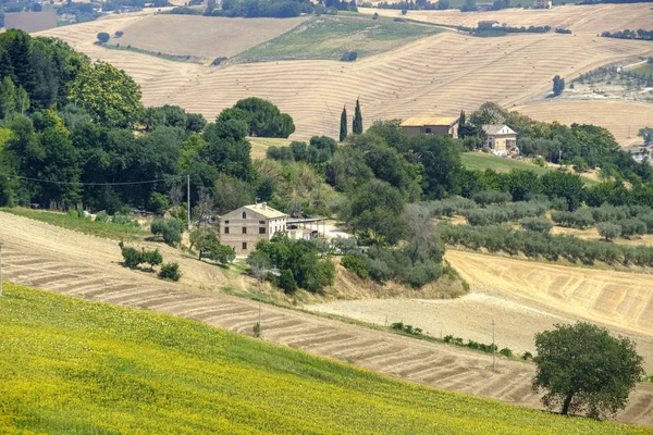 Landscape near Sant'Elpidio a Mare (Marches, italy) — Stock Photo, Image