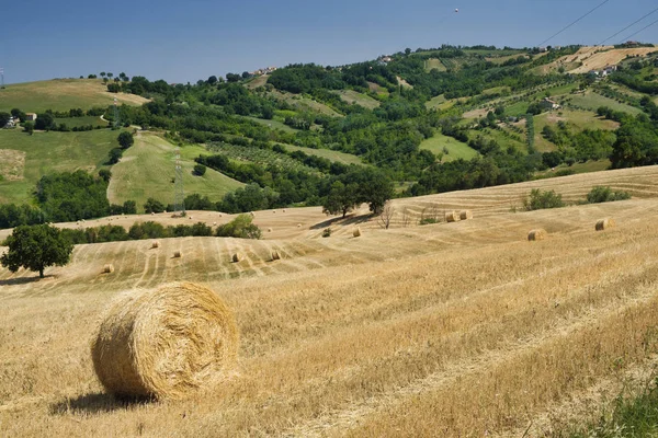 Paisaje cerca de Ascoli Piceno en verano —  Fotos de Stock