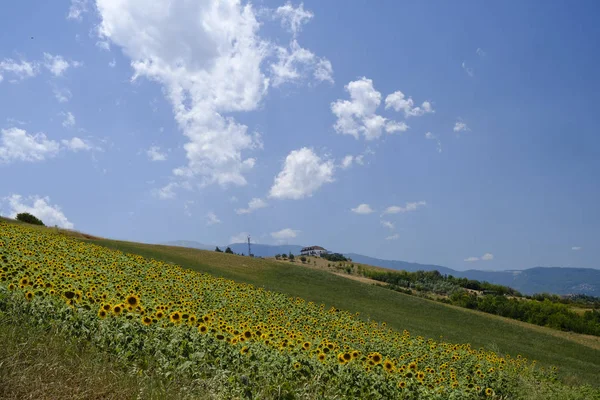 Ascoli Piceno yaz manzara