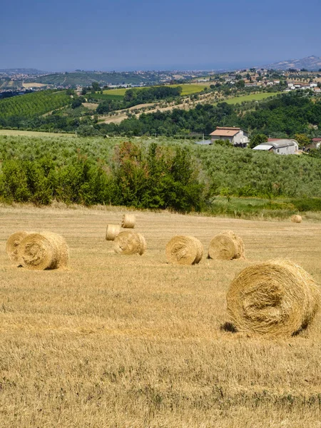 Peisaj lângă Ascoli Piceno pe timp de vară — Fotografie, imagine de stoc