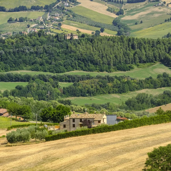 Sommarlandskap nära Monterubbiano (Fermo, marscher) — Stockfoto