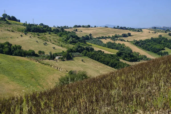 Letní krajina u Monterubbiano (Fermo, pochody) — Stock fotografie