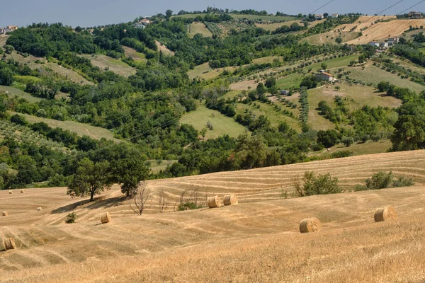 Krajina u Ascoli Piceno na léto — Stock fotografie