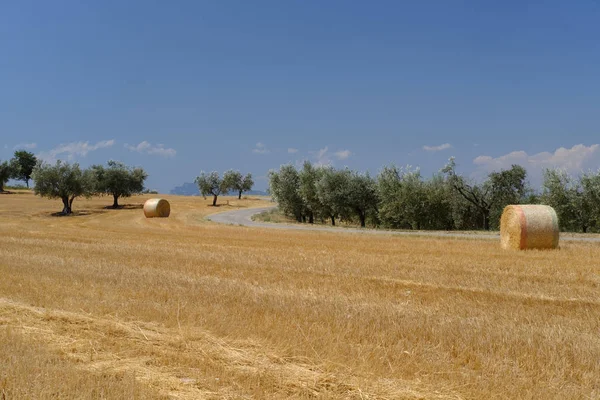 Krajobraz w pobliżu Ascoli Piceno na lato — Zdjęcie stockowe