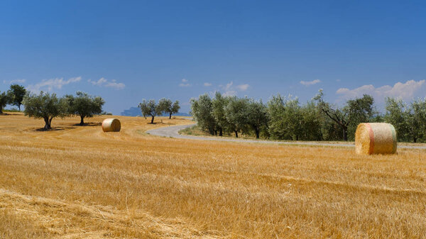 Landscape near Ascoli Piceno at summer
