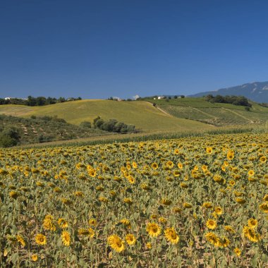 Loreto Aprutino (Abruzzi) yaz manzara