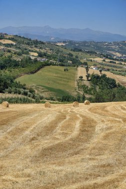 Teramo (Abruzzi) yaz manzara