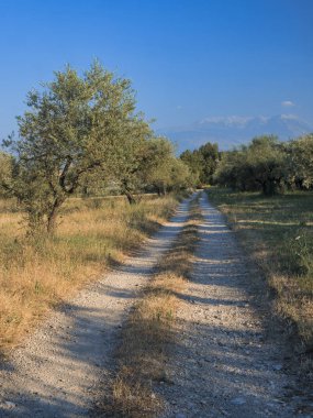 Penne (Abruzzi) yaz manzara