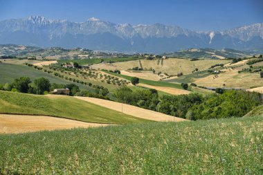 Teramo (Abruzzi) yaz manzara