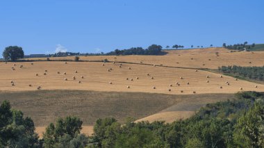 Loreto Aprutino (Abruzzi) yaz manzara