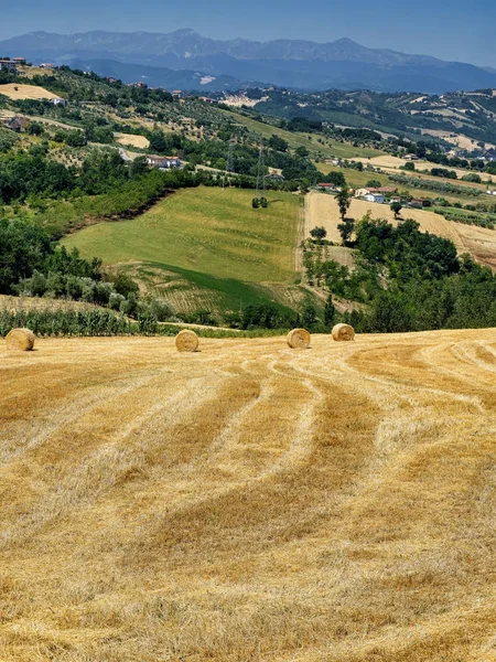 Teramo (Abruzzi) yaz manzara