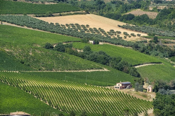 Paisagem perto de Teramo (Abruzzi) no verão — Fotografia de Stock