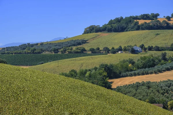 Landschaft in der Nähe von Loreto aprutino (Abruzzen) im Sommer — Stockfoto