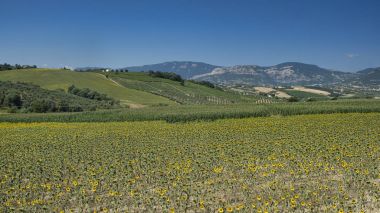 Loreto Aprutino (Abruzzi) yaz manzara