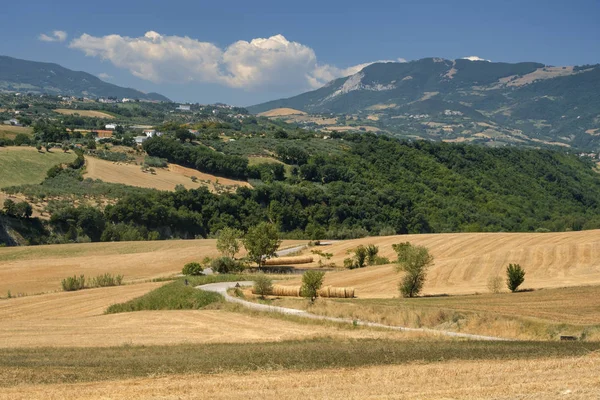 Krajobraz w pobliżu Loreto Aprutino (Abruzzi) na lato — Zdjęcie stockowe