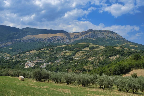 Paesaggio estivo in Abruzzo vicino a Brittoli — Foto Stock