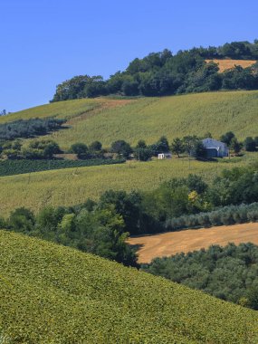Loreto Aprutino (Abruzzi) yaz manzara