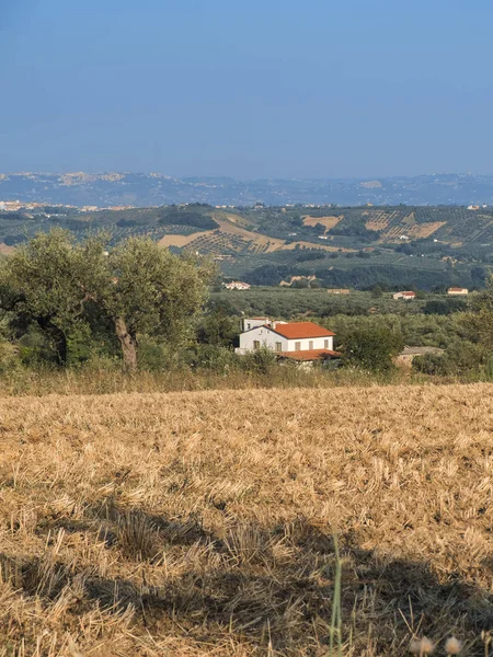 Landscape near Penne (Abruzzi) at summer — Stock Photo, Image