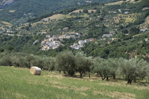 Nyári táj Abruzzi Brittoli közelében — Stock Fotó