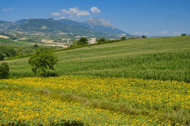 Loreto Aprutino (Abruzzi) yaz manzara