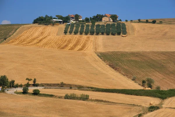 Krajina u Loreto Aprutino (Abruzzi) na léto — Stock fotografie