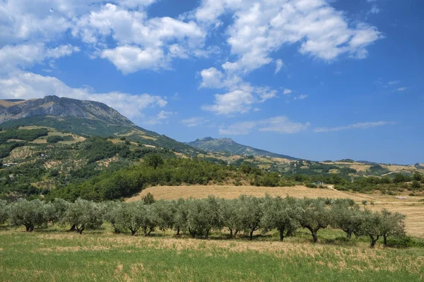 Paisagem de verão em Abruzzi perto de Brittoli — Fotografia de Stock