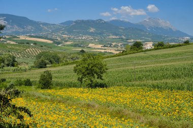 Loreto Aprutino (Abruzzi) yaz manzara