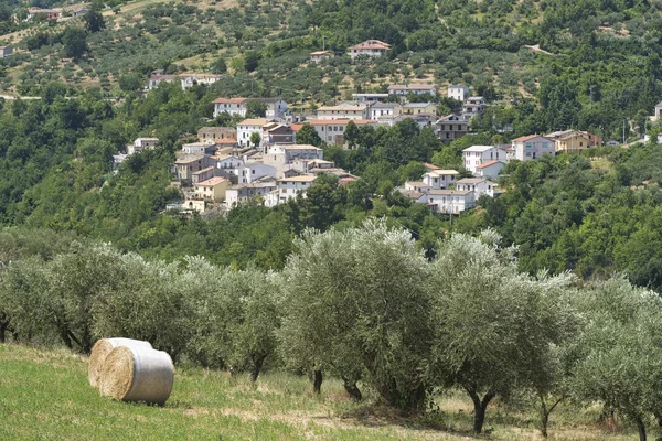 Paesaggio estivo in Abruzzo vicino a Brittoli — Foto Stock