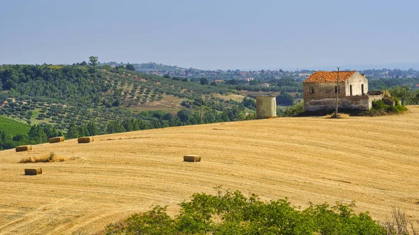 Landscape near Loreto Aprutino (Abruzzi) at summer — Stock Photo, Image