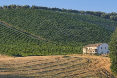 Landscape near Penne (Abruzzi) at summer clipart