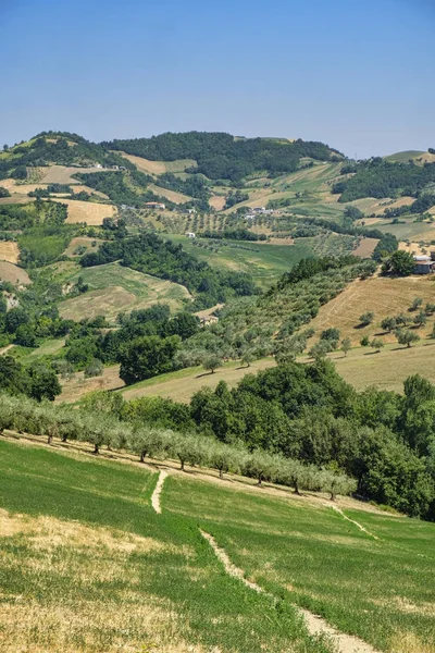 Paisaje cerca de Teramo (Abruzos) en verano — Foto de Stock