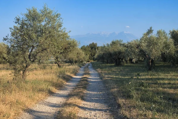 Landscape near Penne (Abruzzi) at summer — Stock Photo, Image