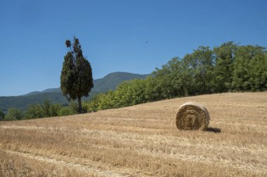 Ülkenin peyzaj Terni (Umbria arasındaki Rieti (Lazio))