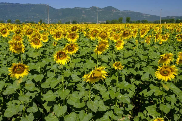 Paisaje rural entre Rieti (Lazio) y Terni (Umbría ) — Foto de Stock