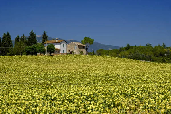 Τυπικό αγρόκτημα σε Umbria (Ιταλία) το καλοκαίρι — Φωτογραφία Αρχείου