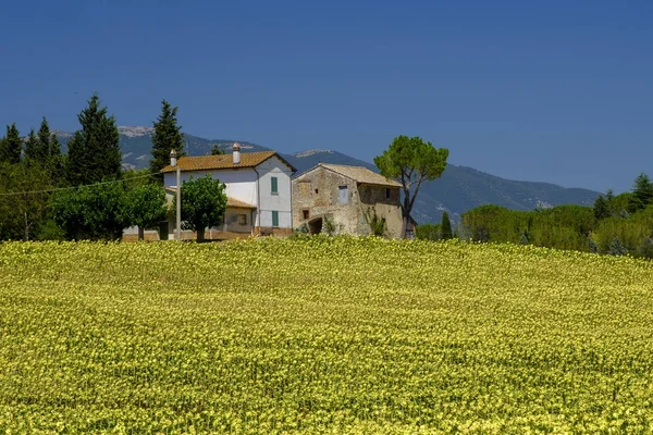 Typical farm in Umbria (Italy) at summer — Stock Photo, Image
