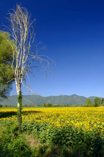 Country landscape between Rieti (Lazio) and Terni (Umbria) — Stock Photo, Image