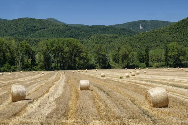 Paesaggio rurale tra Rieti (Lazio) e Terni (Umbria) ) — Foto Stock