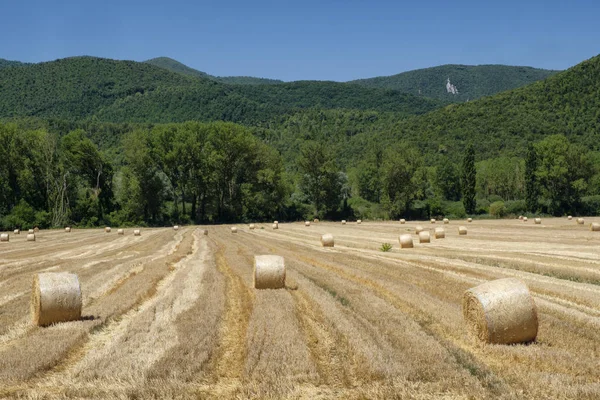 Paisaje rural entre Rieti (Lazio) y Terni (Umbría ) —  Fotos de Stock