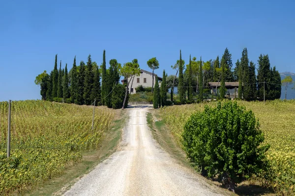 Agriturismo tipico in Umbria (Italia) in estate — Foto Stock