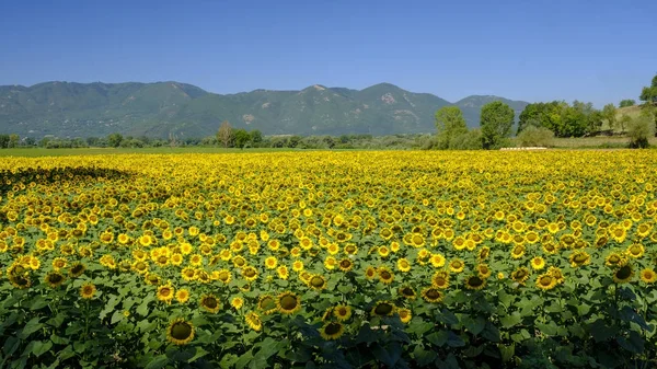 Country landscape between Rieti (Lazio) and Terni (Umbria) — Stock Photo, Image