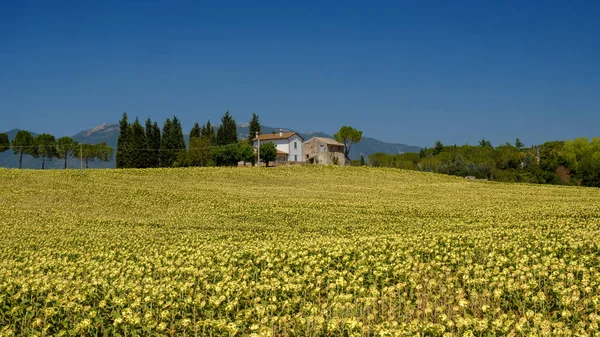 Typischer Bauernhof in Umbrien (Italien) im Sommer — Stockfoto