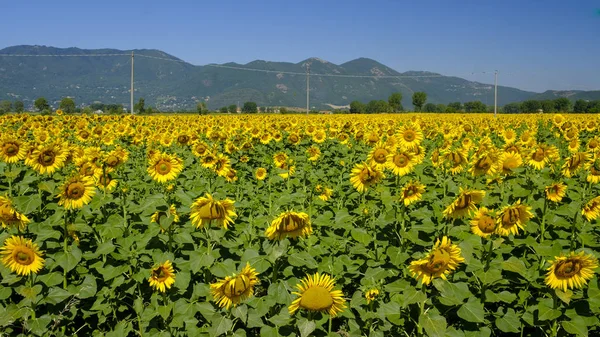 Paisagem rural entre Rieti (Lazio) e Terni (Umbria ) — Fotografia de Stock