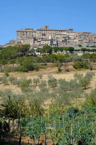 Panorámás kilátás nyílik a Lugnano-Teverina (Umbria, Olaszország) — Stock Fotó