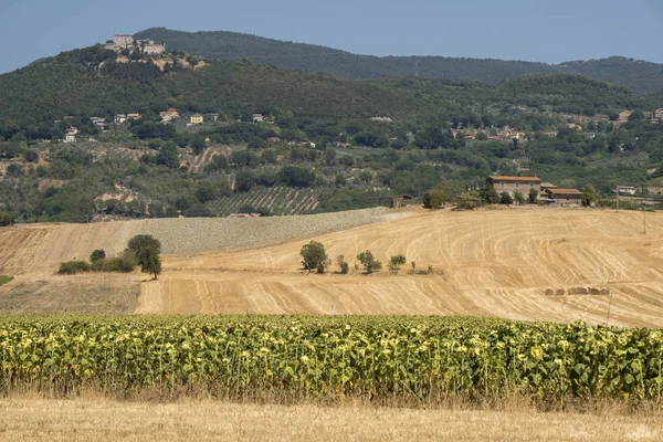 Paisagem rural em Val Teverina (Umbria, Italia ) — Fotografia de Stock