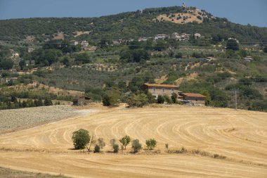 Val kırsal manzara Teverina (Umbria, İtalya)