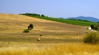 Orvieto ülke yataydan Todi, Umbria, İtalya