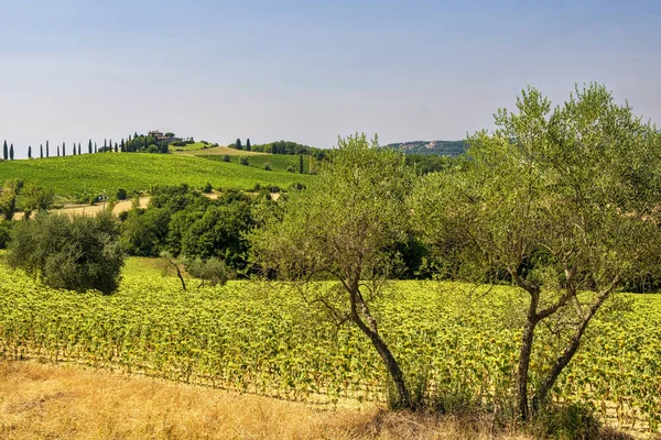 Landschaft in Umbrien bei Todi — Stockfoto