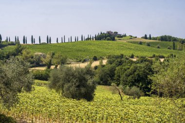 todi Umbria içinde yatay